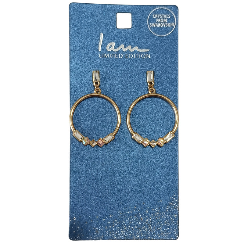 گوشواره زنانه آی ام مدل Ornated circle