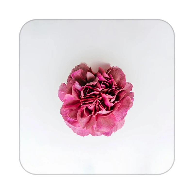 زیر لیوانی کاکتی طرح گل مدل mp16270