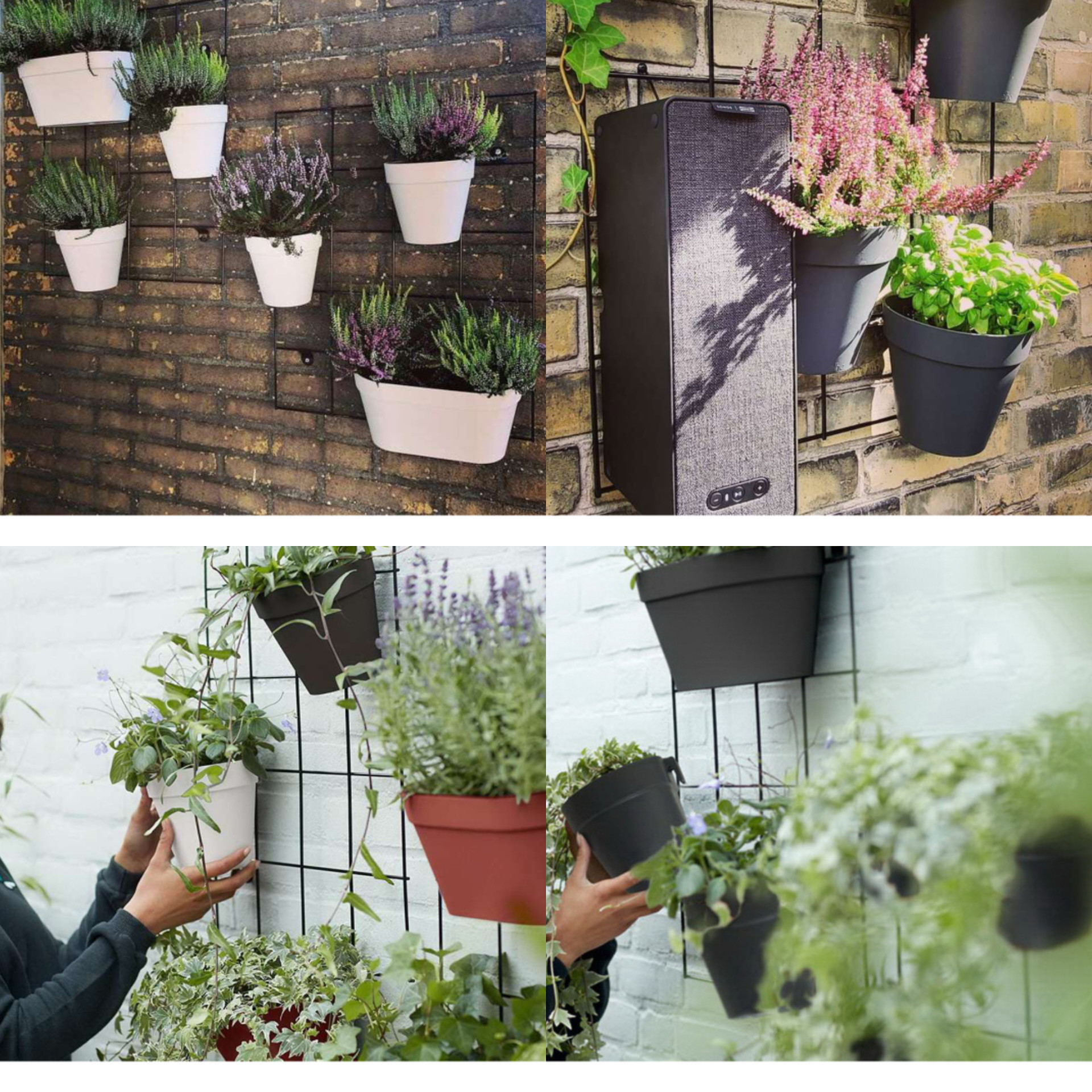 گلدان مدل گرد دیواری کد 15