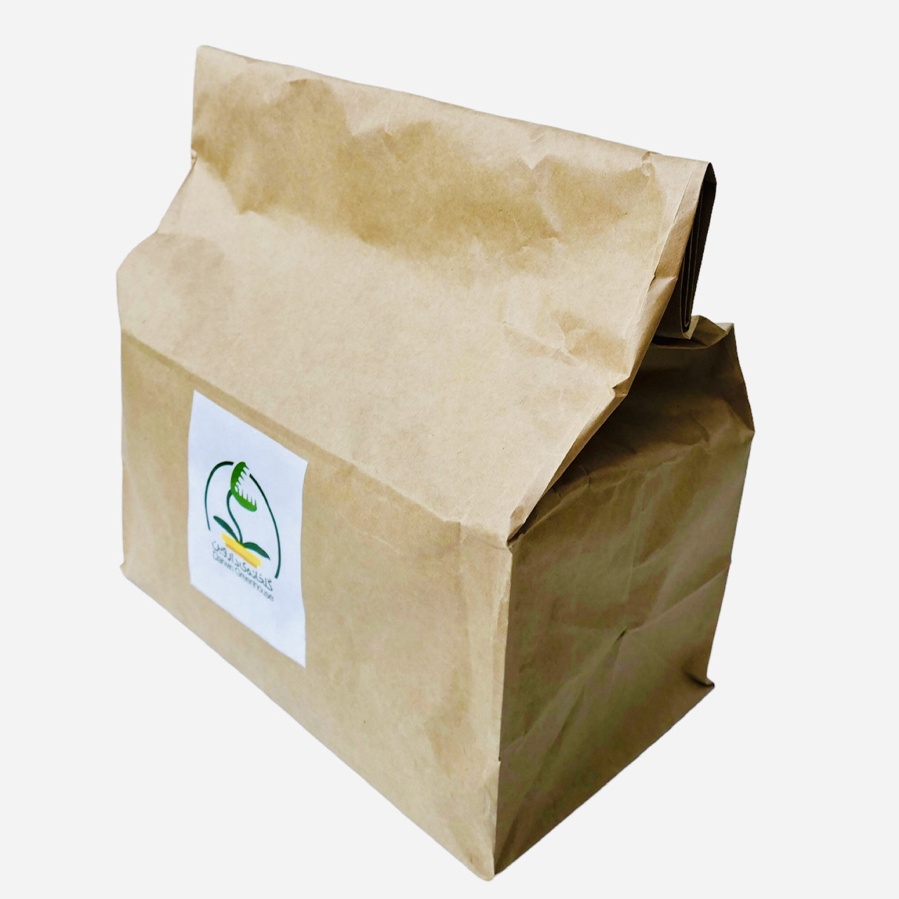 کیاه طبیعی گوشتخوار نپنتس مدل Lowii x Ventricosa کیاه طبیعی گوشتخوار نپنتس مدل Lowii x Ventricosa