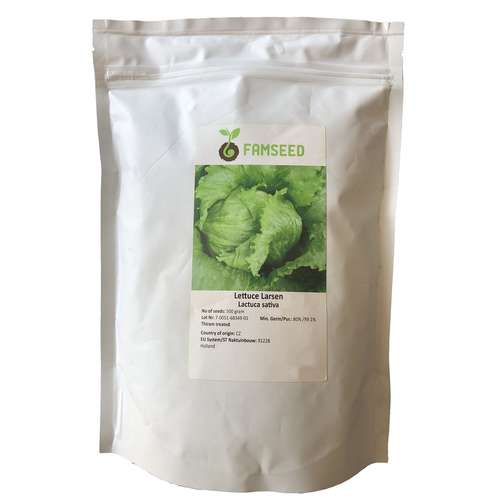 بذر کاهو سالادی فام سید مدل Lactuca Sativa