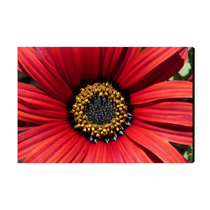 تابلو شاسی عرش مدل فانتزی گل کد As5042