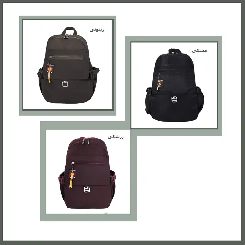 کوله پشتی مدل NM-0195