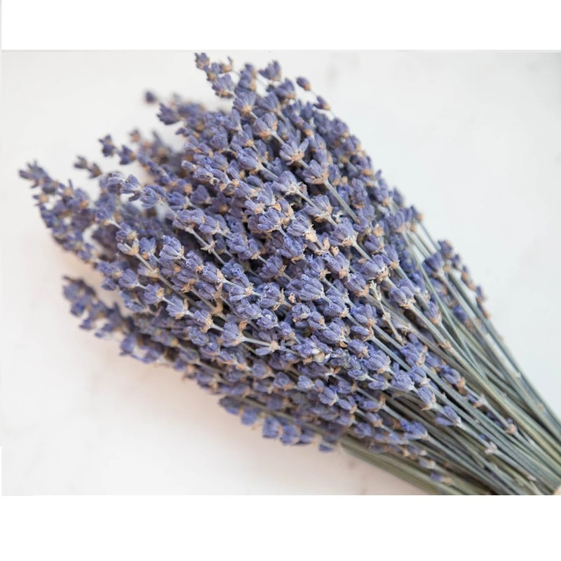 گل خشک مدل لاواندر