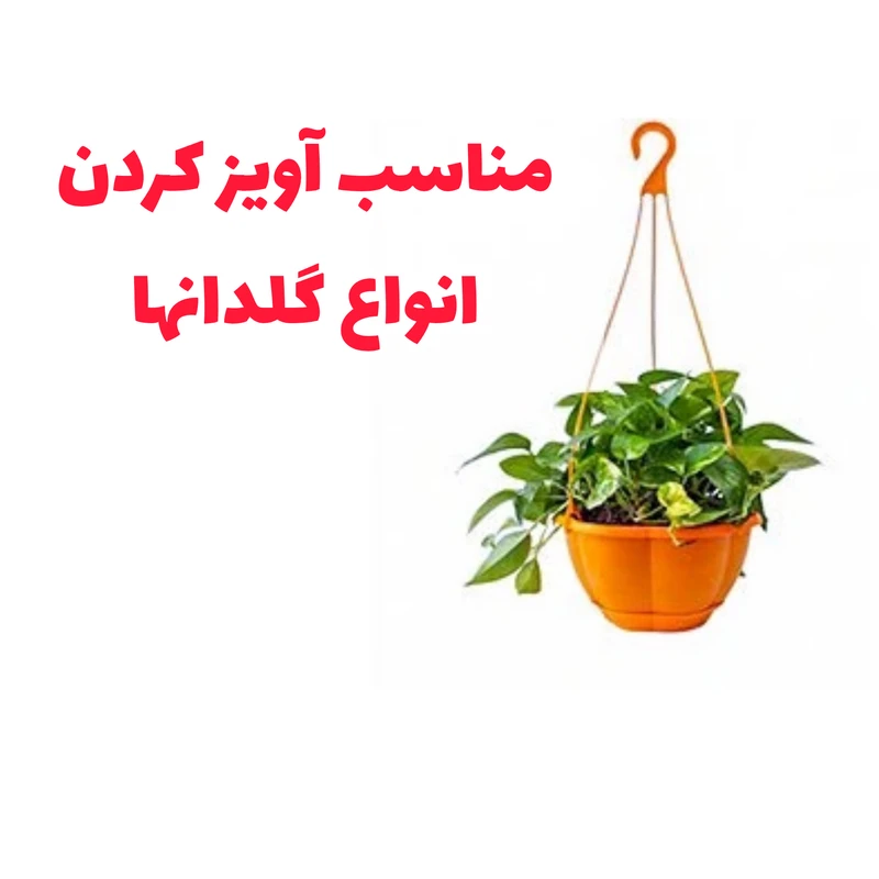 عکس شماره 2