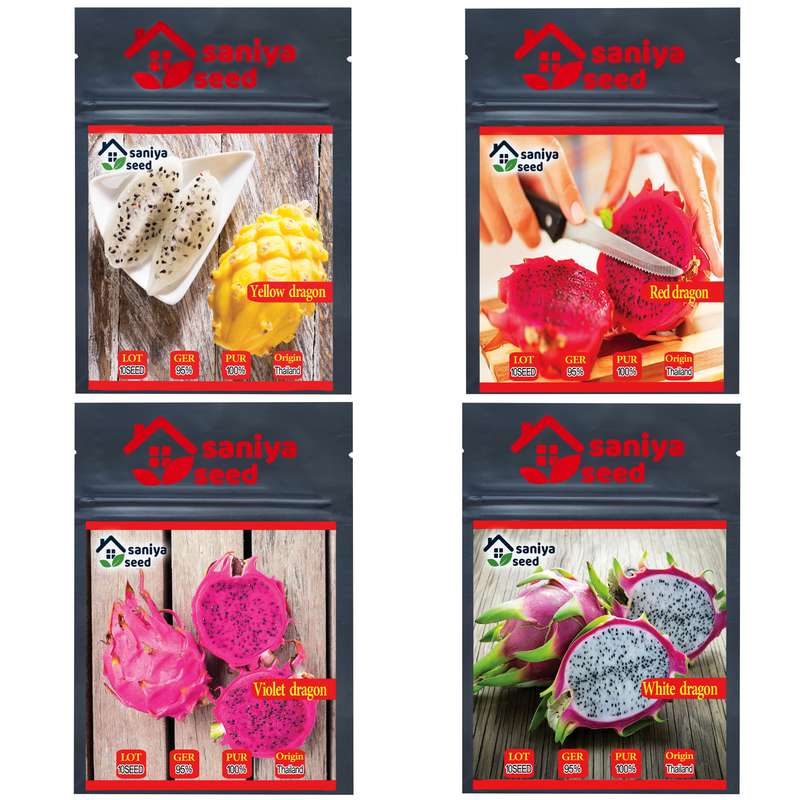 بذر دراگون فروت سانیا سید مدل T7 مجموعه 4 عددی