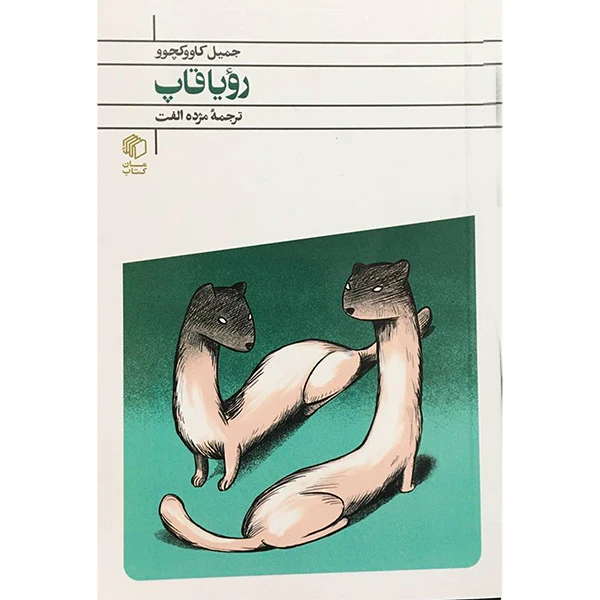 کتاب رويا قاپ اثر جميل كاووكچوو انتشارات مان كتاب