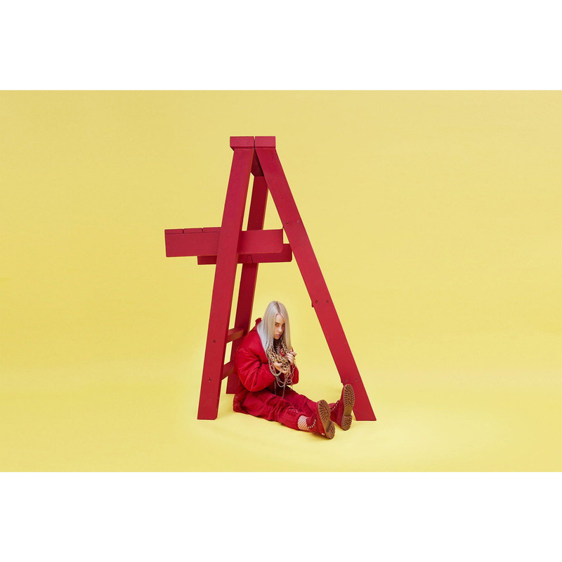 تابلو شاسی مدل خواننده بیلی آیلیش T5567