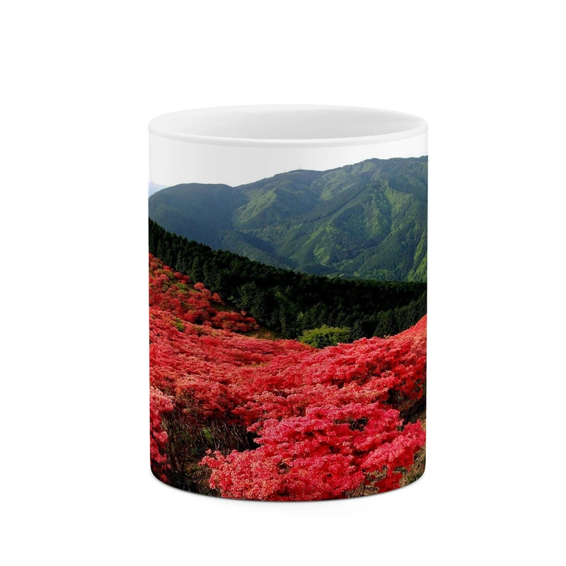 ماگ کاکتی مدل منظره کد mgh17780