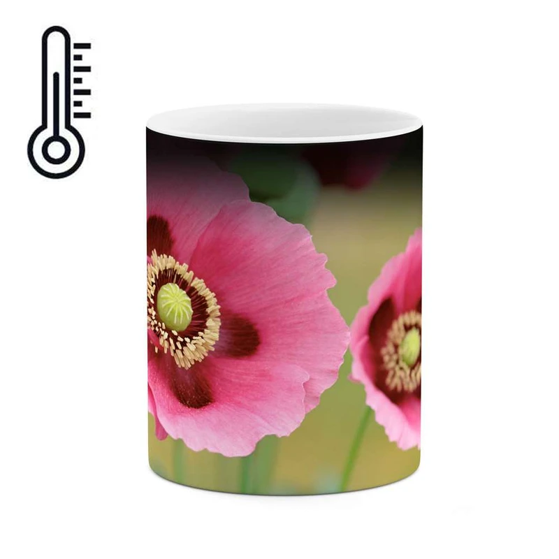 ماگ حرارتی کاکتی مدل گل کد mgh12130