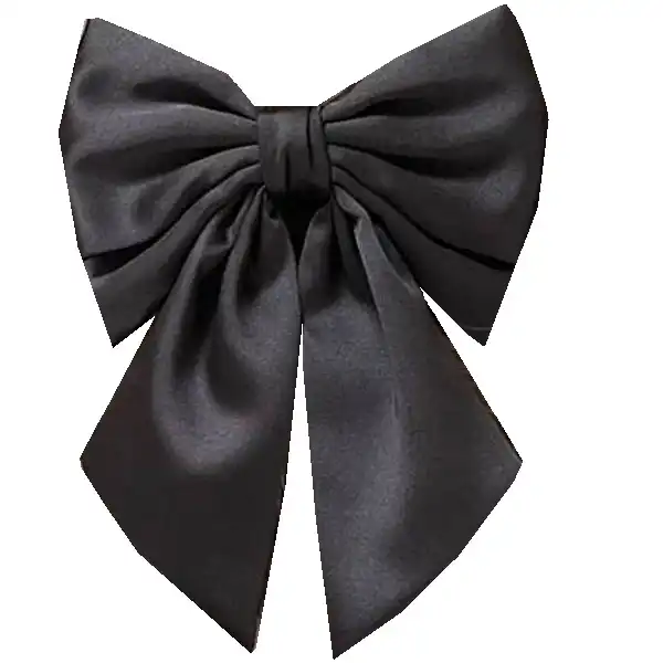 گیره مو زنانه مدل پاپیون