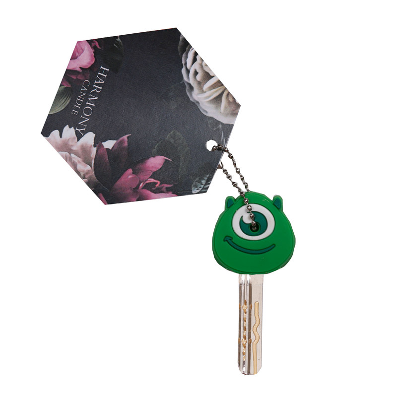 کاور کلید مدل ۰۰۰۸