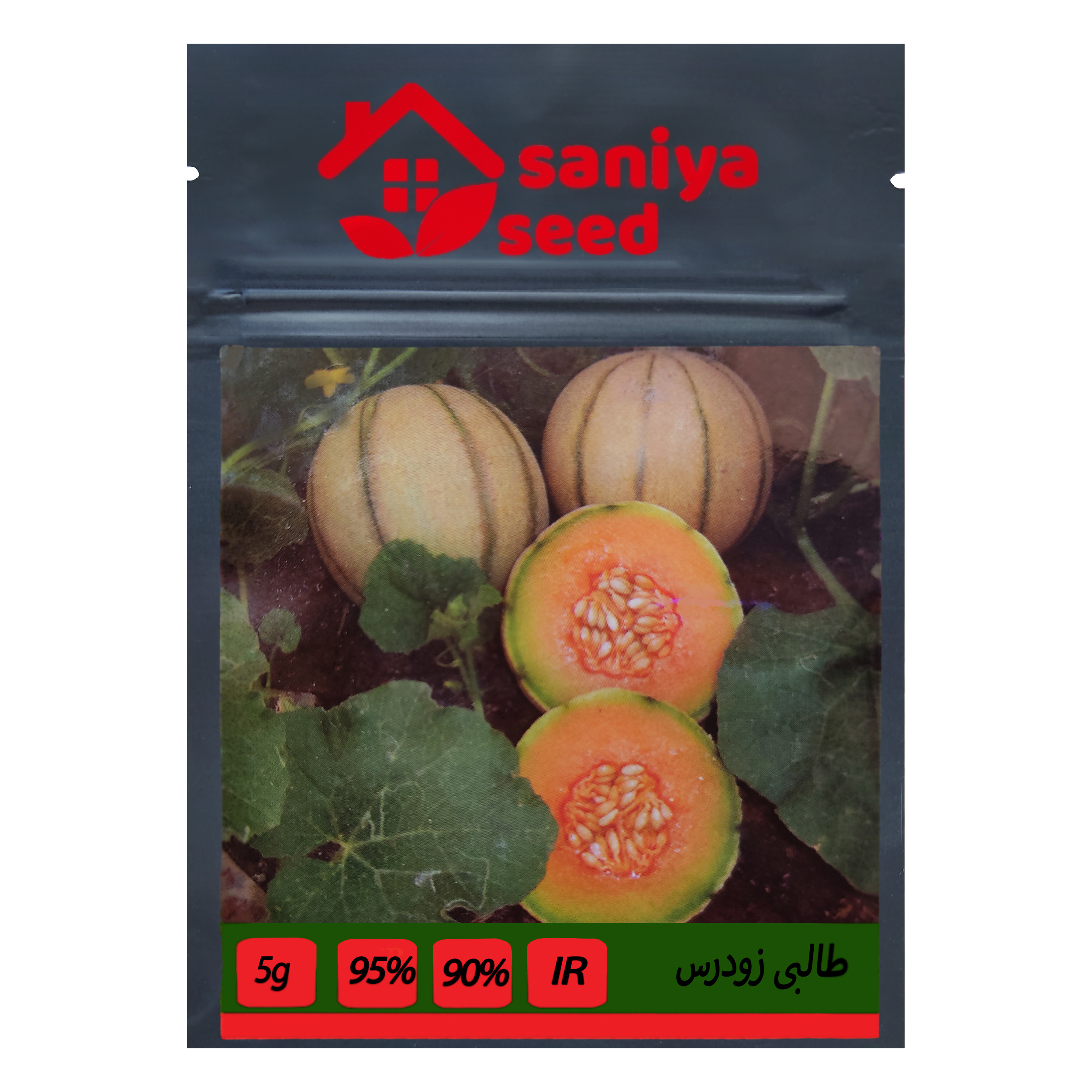 بذر طالبی زودرس سانیا سید مدل G3 بذر طالبی زودرس سانیا سید مدل G3