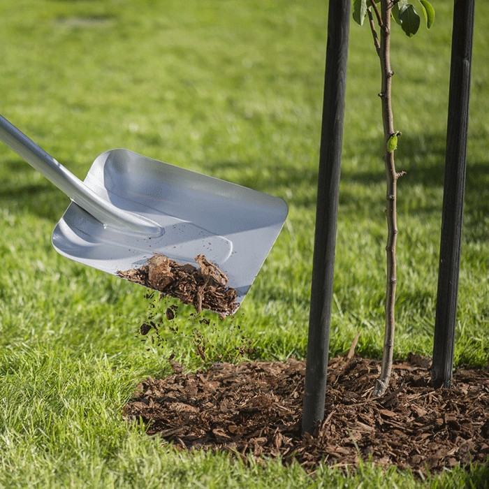 بیل فیسکارس مدل 1003688