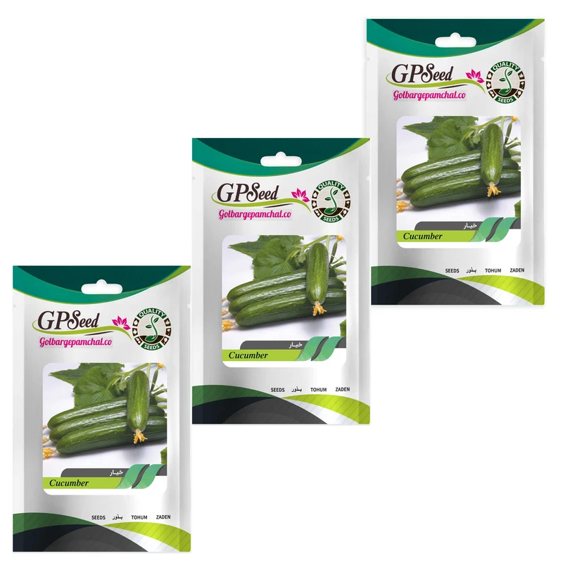 بذر خیار گلبرگ پامچال کد GPF-113 مجموعه 3 عددی