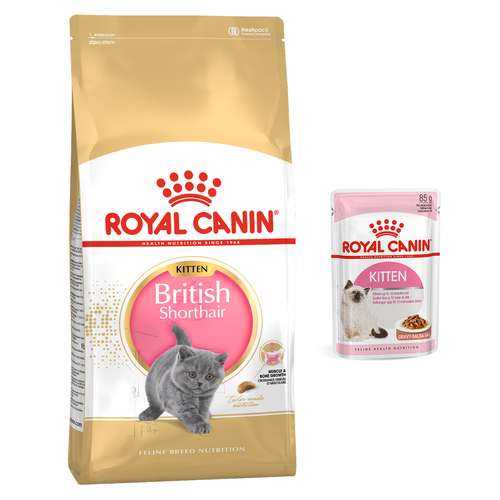غذای خشک بچه گربه رویال کنین مدل British Shorthair Kitten وزن 2 کیلوگرم به همراه غذای پوچ وزن 85 گرم