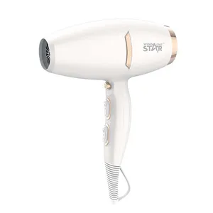 سشوار خانگی 2200 وات وینینگ استار مدل Sf-9546