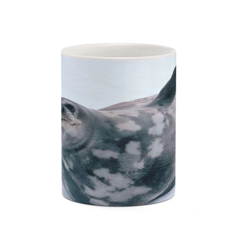 ماگ کاکتی مدل فوک کد mgh19229