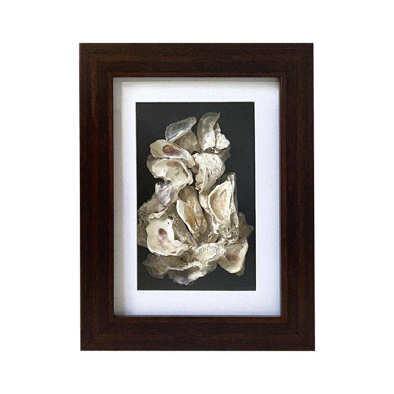 تابلو بکلیت مدل صدف و مرجان دریایی W-325-1318 فریم قهوه ای