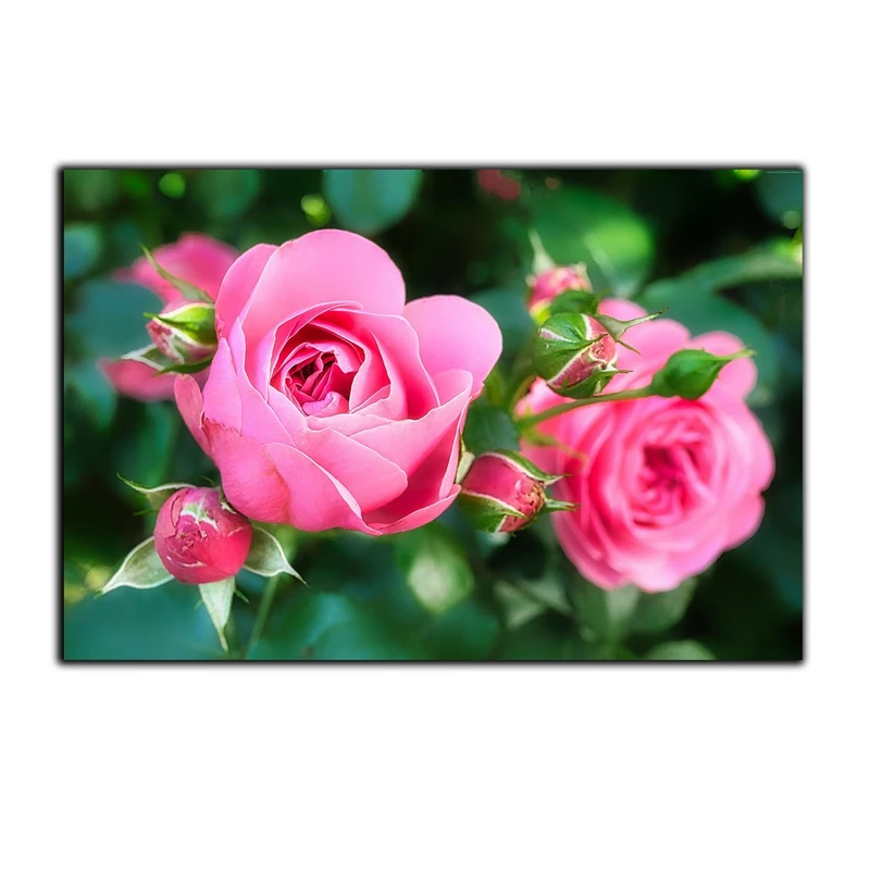 تابلو شاسی بکلیت طرح طبیعت گل محمدی مدل SH-S2969