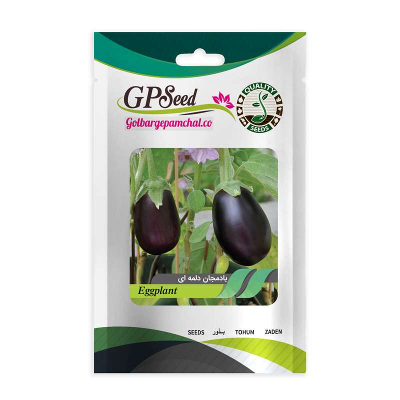 بذر بادمجان دلمه ای گلبرگ پامچال کد GPF-102