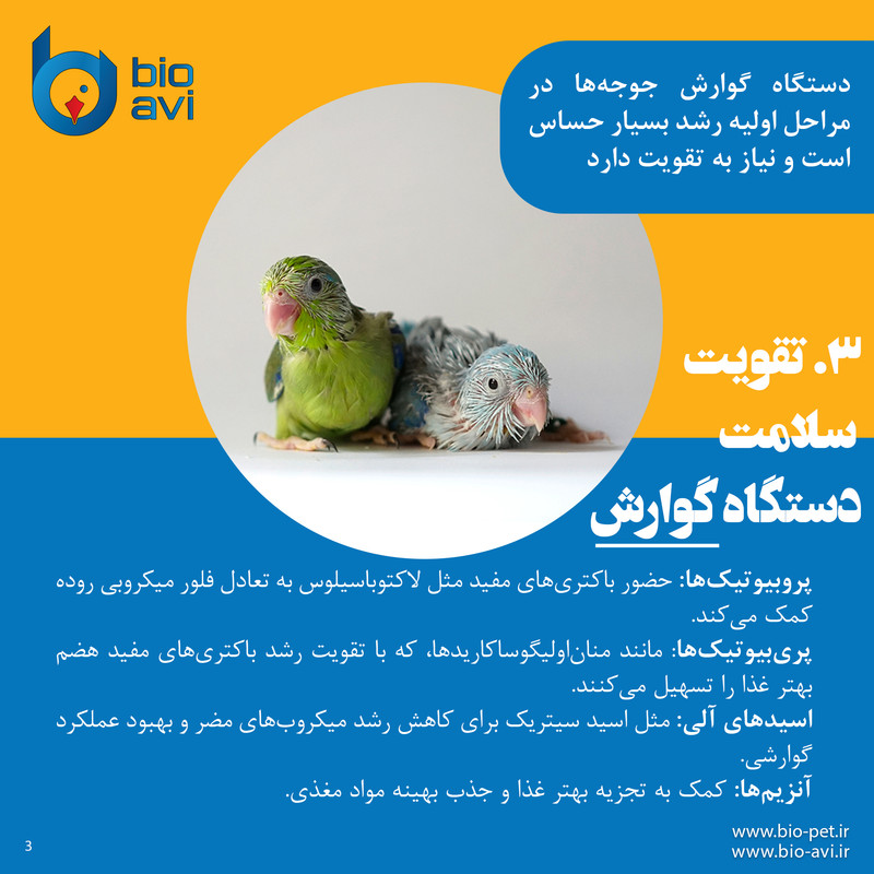 غذای کمکی طوطی سانان بایو اوی مدل HR19 وزن 500 گرم