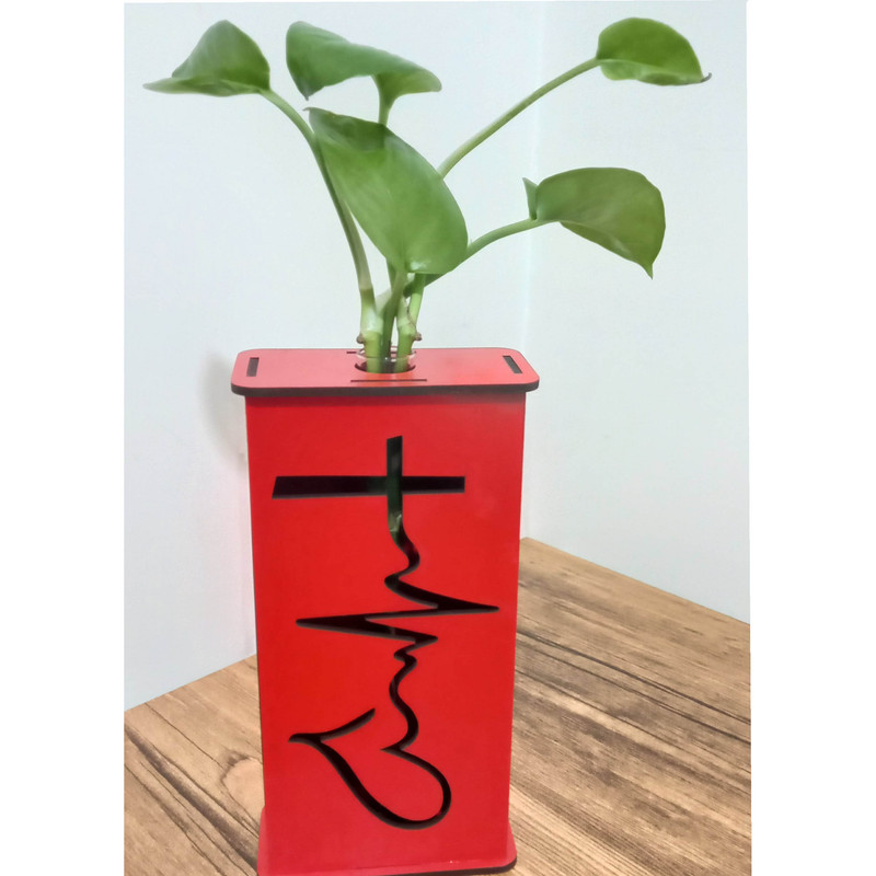 گیاه طبیعی پوتوس مدل لوله ای گیاه طبیعی پوتوس مدل لوله ای