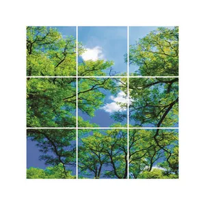 تایل سقفی آسمان مجازی مدل S33 سایز 60*60 سانتی متر مجموعه 9 عددی