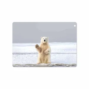برچسب پوششی ماهوت مدل Polar bear مناسب برای تبلت اپل iPad Air 2013 A1474