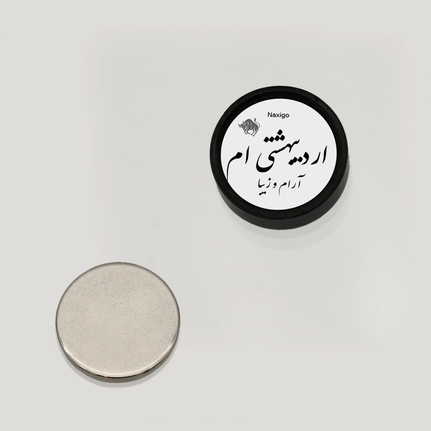 پیرسینگ گوش ناکسیگو مدل شب تاب طرح اردیبهشتی ام کد PM6438