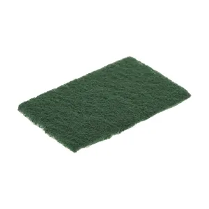 Pakizeh 110712 Scouring Pad