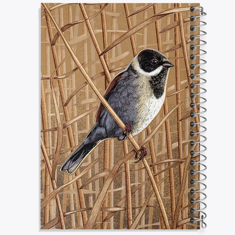 دفتر مشق 100 برگ خندالو طرح پرنده کد F2862