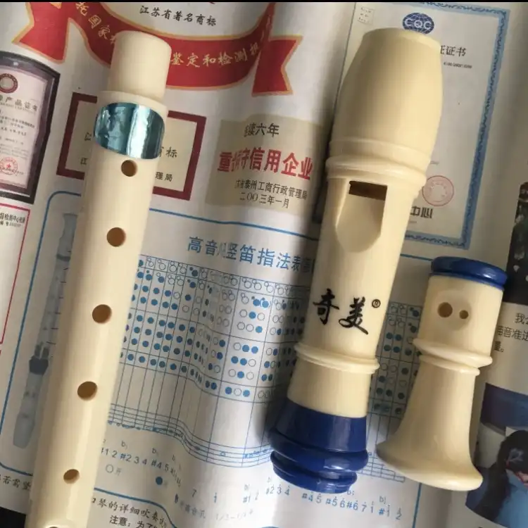 فلوت ریکوردر مدل QiMei