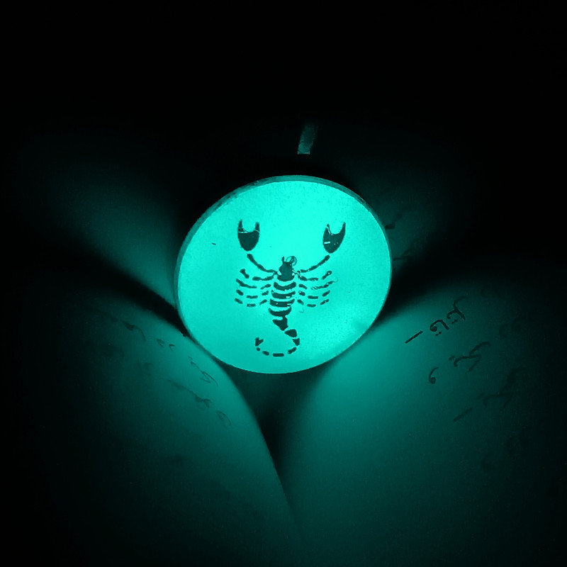 گردنبند زنانه مدل آبان ماه عقرب شبتاب استیل گردنبند زنانه مدل آبان ماه عقرب شبتاب استیل