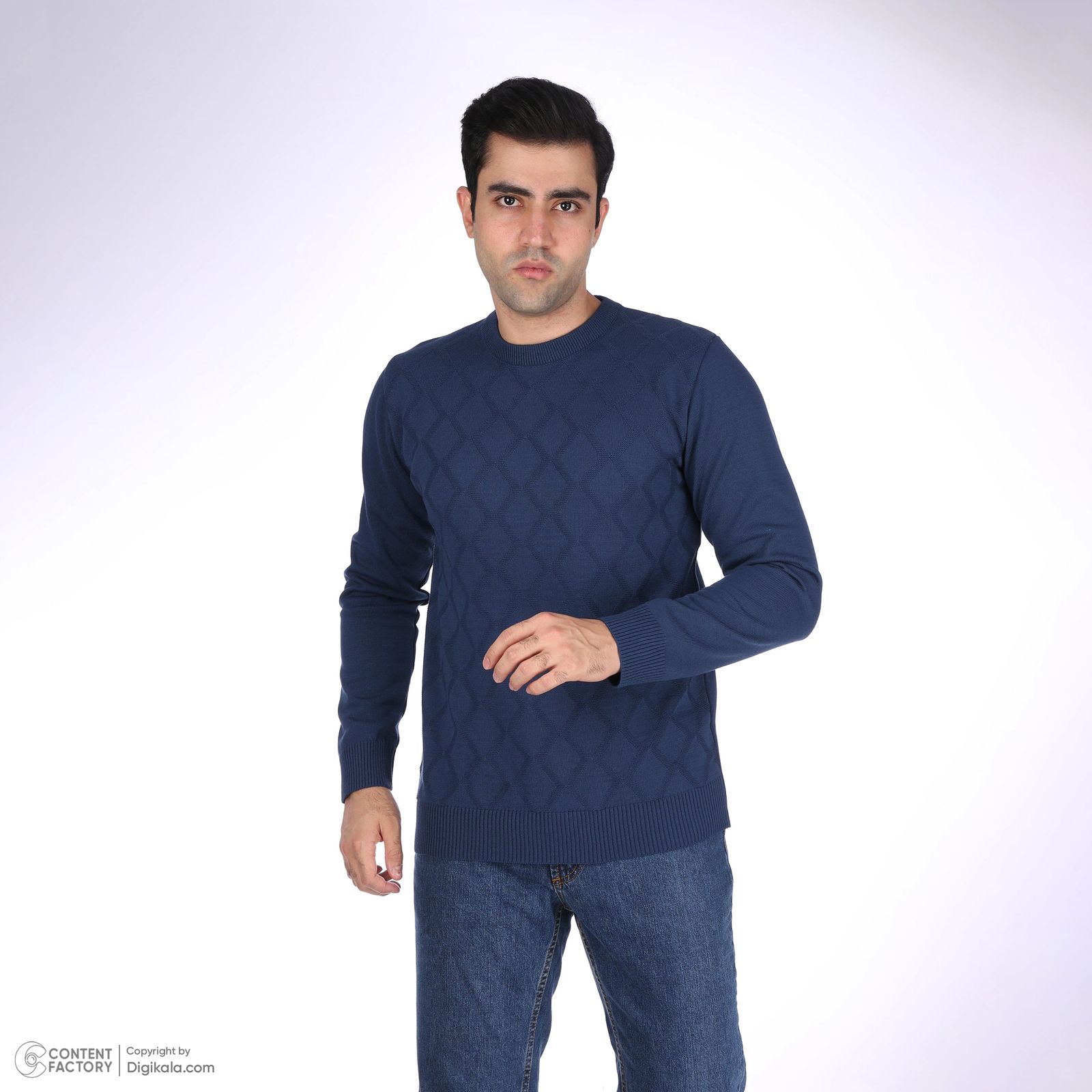 پلیور مردانه تریکو پاییزان مدل LOZ یقه گرد رنگ آبی نفتی -  - 2