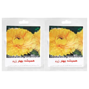بذر گل همیشه بهار زرد گرین فارم کد 002 بسته 2 عددی