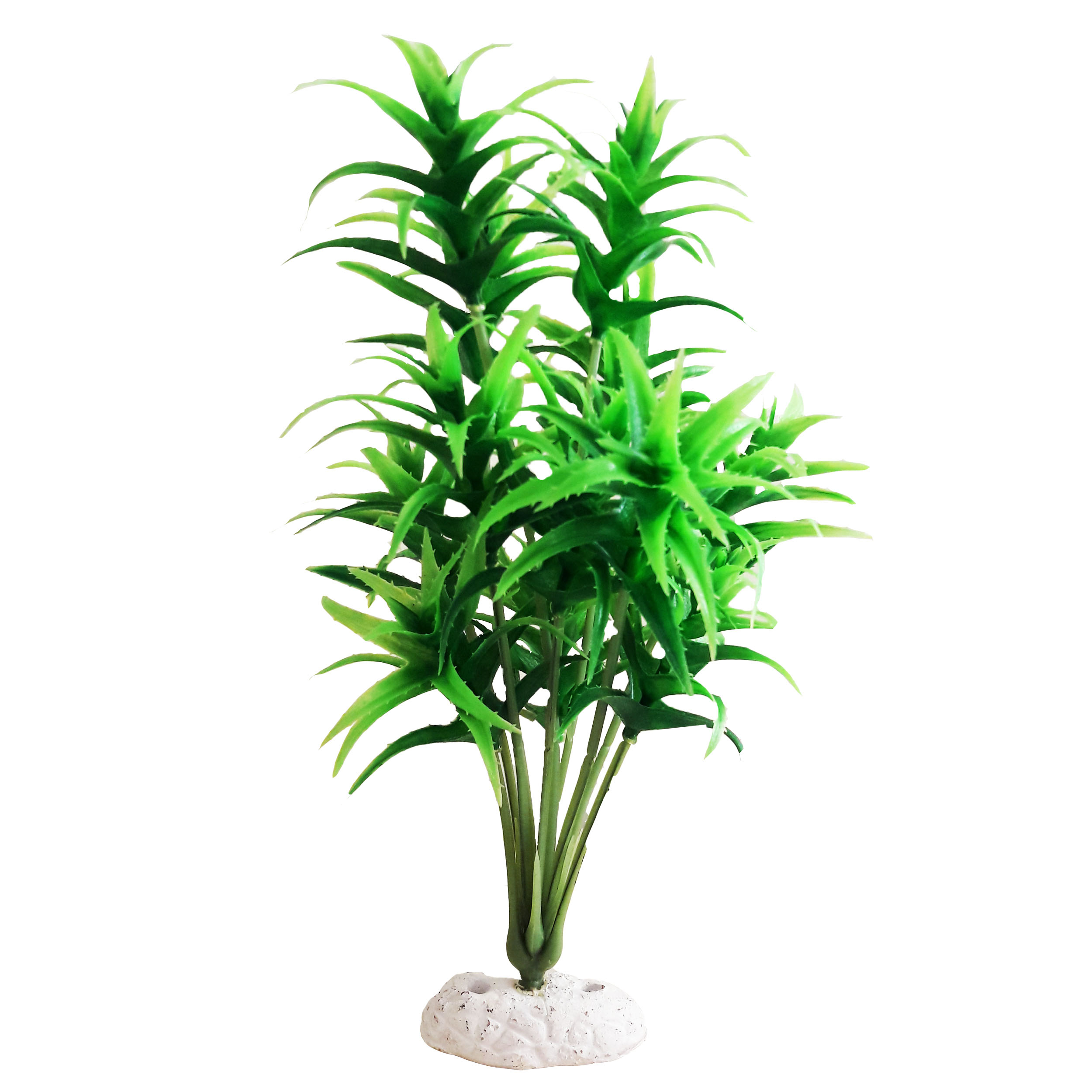 گیاه تزیینی آکواریوم کد 016