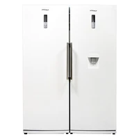 یخچال و فریزر دوقلو 40 فوت امرسان مدل دیاموند RH20D-FN20