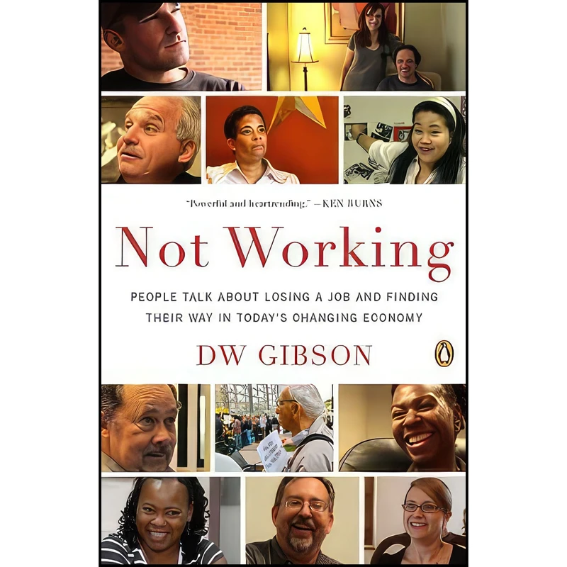 کتاب Not Working اثر DW Gibson انتشارات Penguin Books