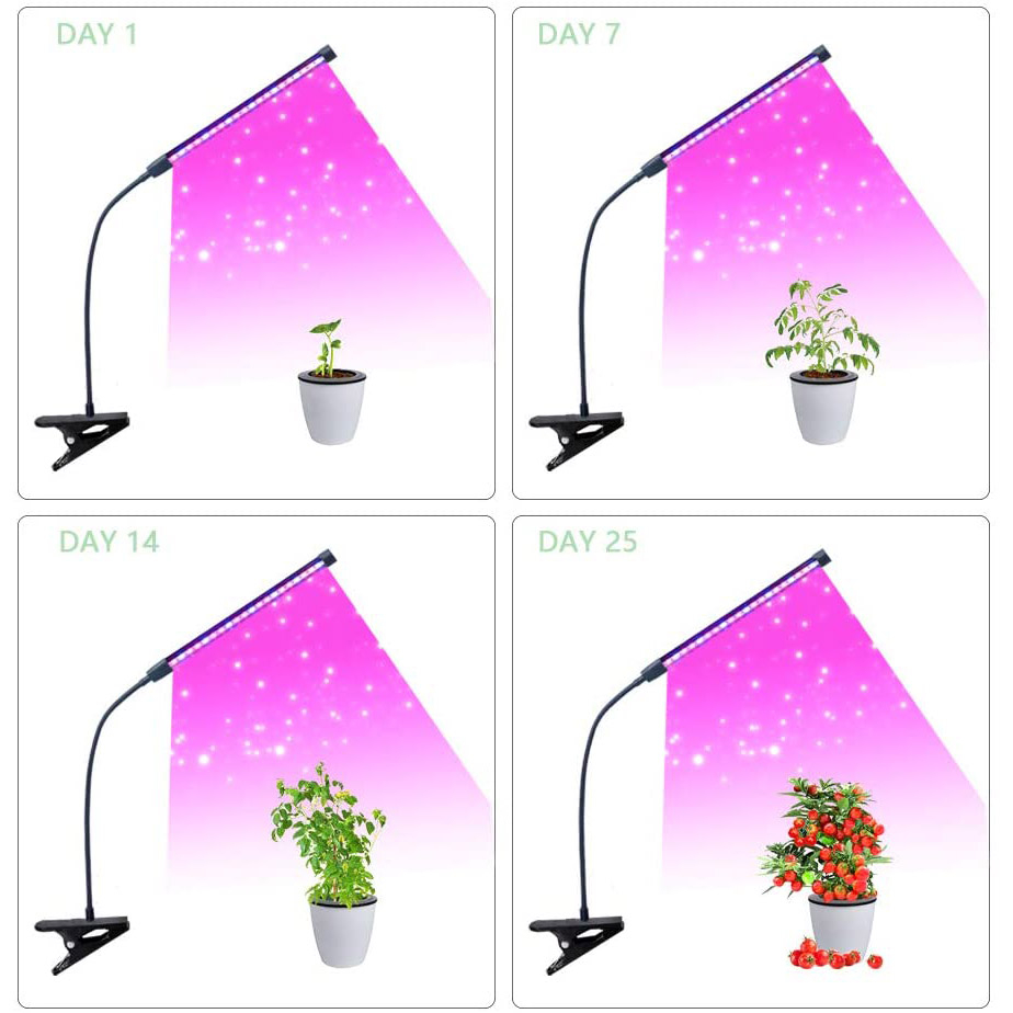 چراغ رشد گیاه 10 وات مدل Single Head