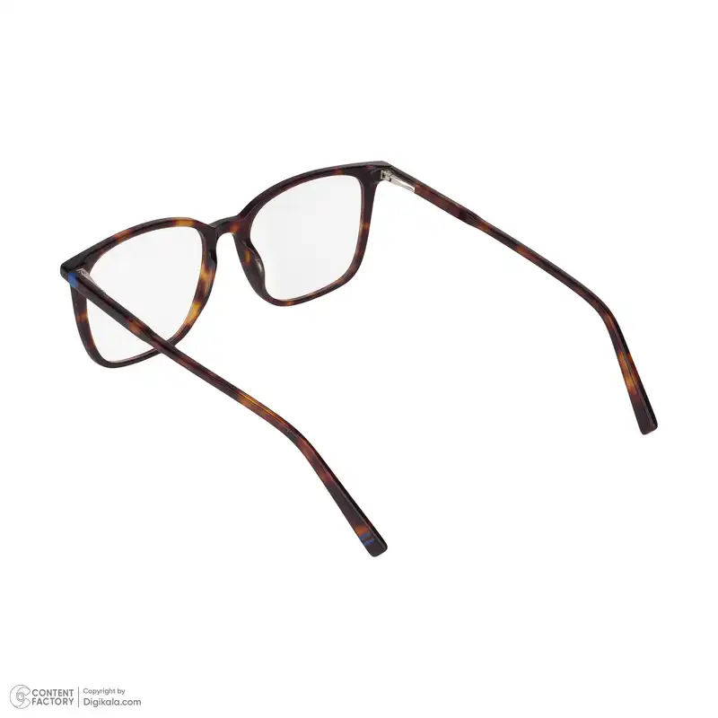 فریم عینک طبی مدل RGA105C3 Leopard Pattern