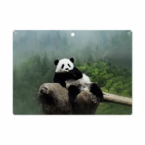 MAHOOT Panda Cover Sticker for Lenovo Miix 320 2017