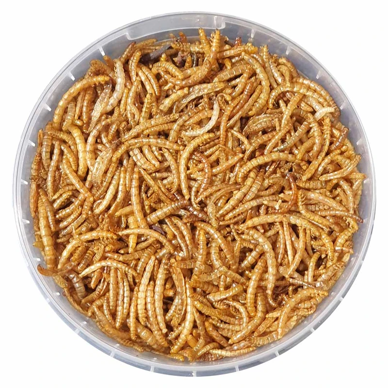 غذای خشک پرندگان ویرا مدل میلورم کد 1 وزن 100گرم