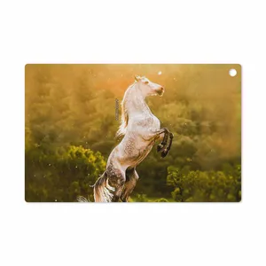 برچسب پوششی ماهوت مدل Horse-2 مناسب برای تبلت سونی Xperia Z2 Tablet LTE 2014