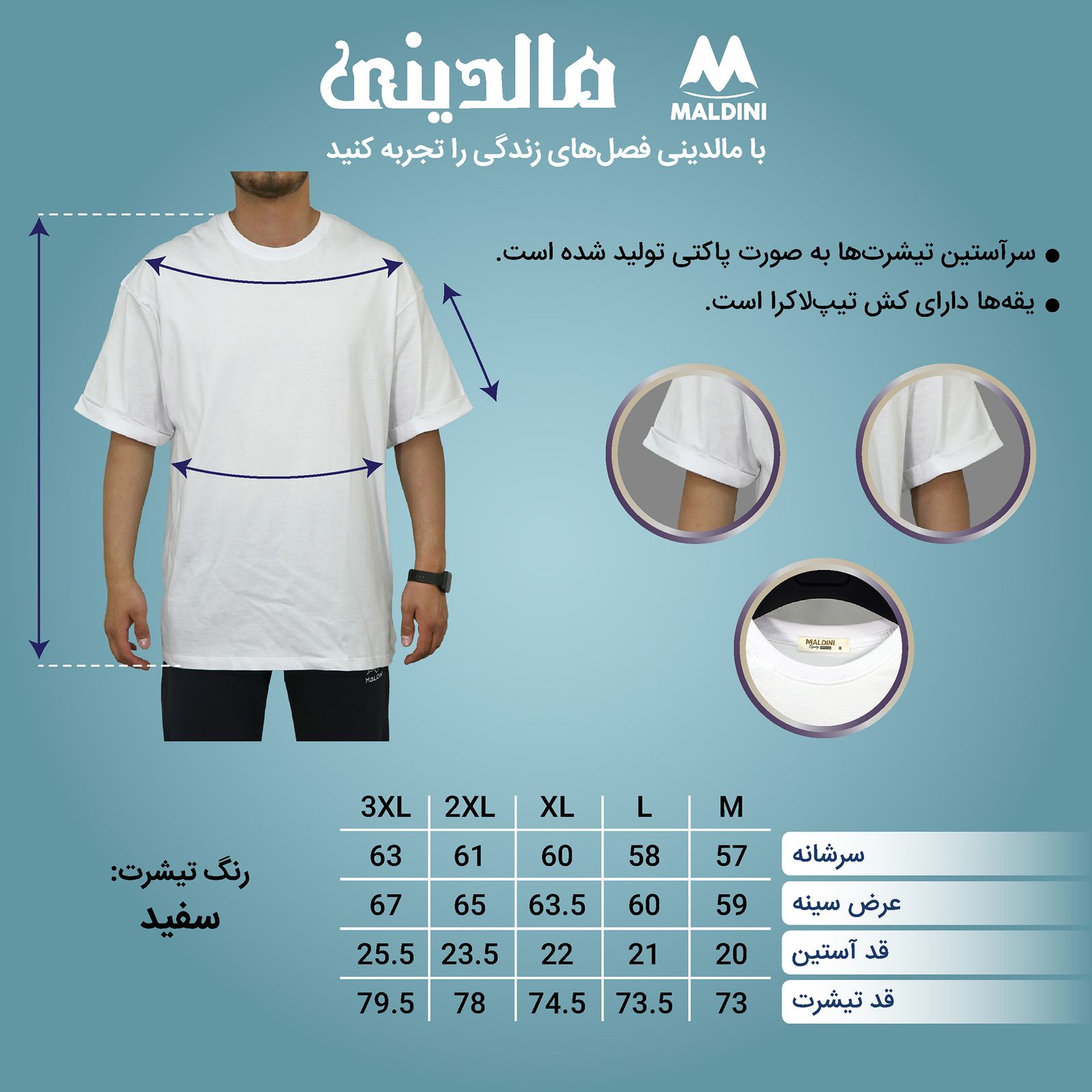 تی شرت اورسایز مردانه مالدینی مدل T-366 -  - 2
