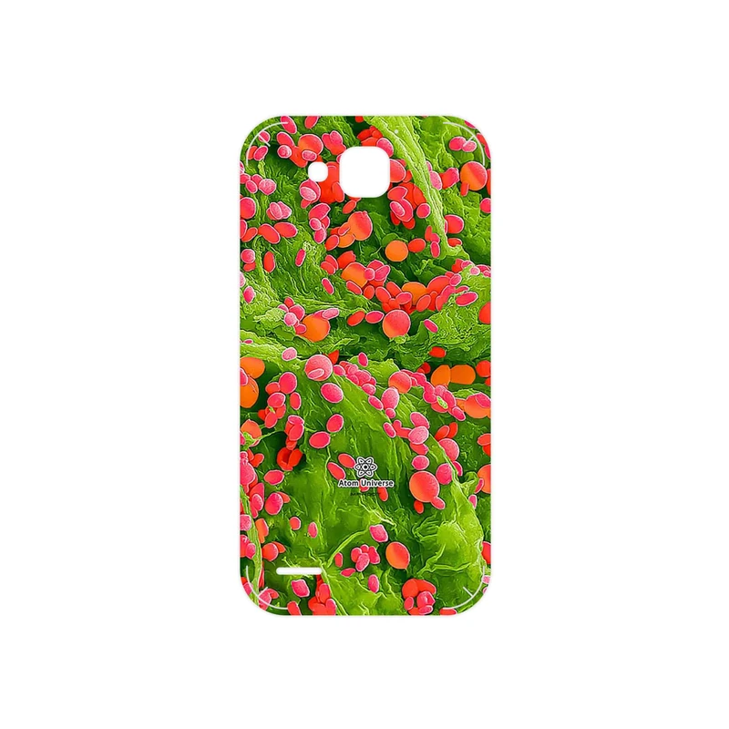 برچسب پوششی ماهوت مدل Atom Universe 3 مناسب برای گوشی موبایل هوآوی Ascend G750