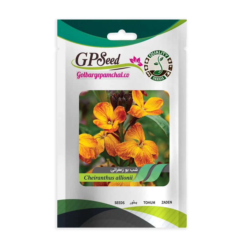 بذر گل شب بو زعفرانی گلبرگ پامچال کد GPF-059