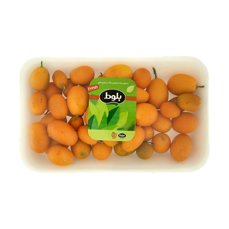 کامکوات بلوط - 500 گرم