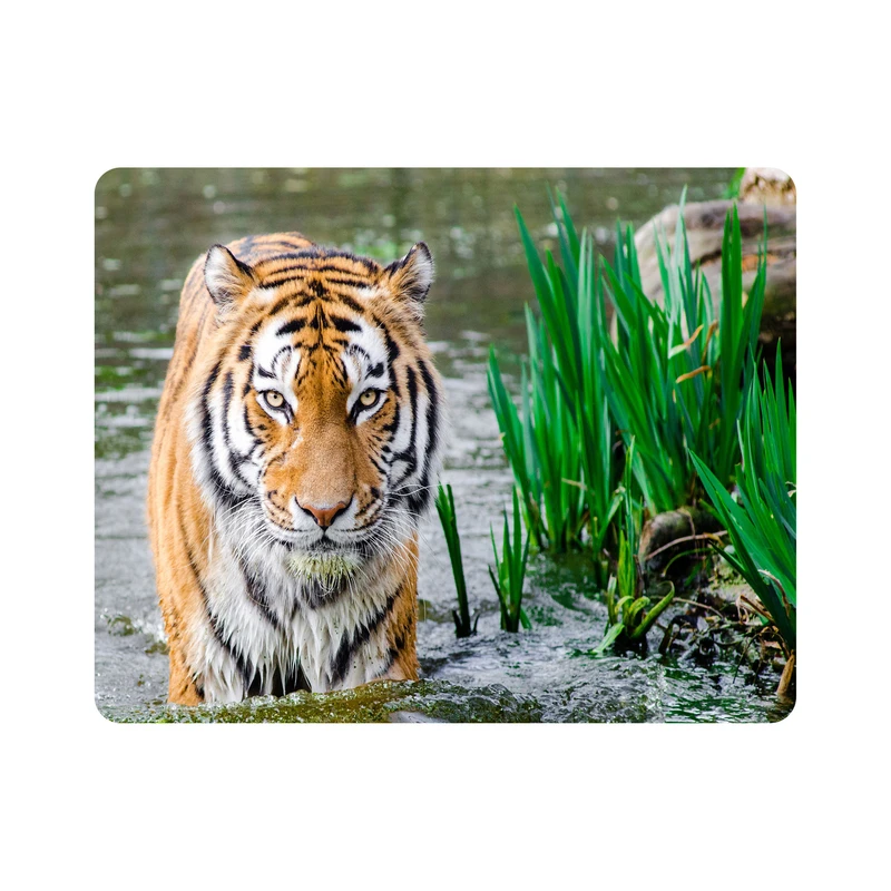 ماوس پد اطلس آبی طرح منظره برکه و ببر مدل T1469