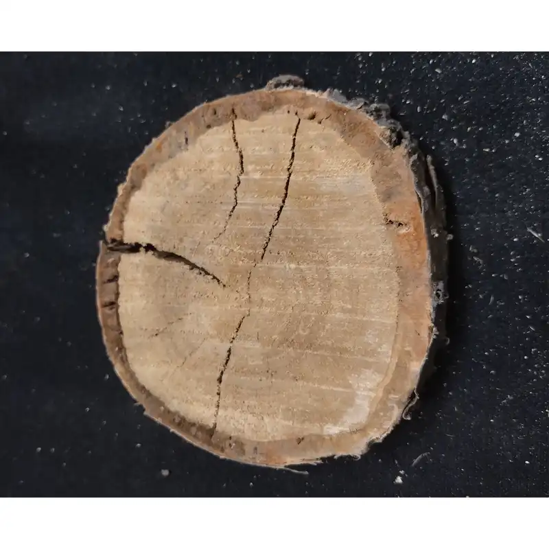 اسلایس چوبی مدل شمس 6